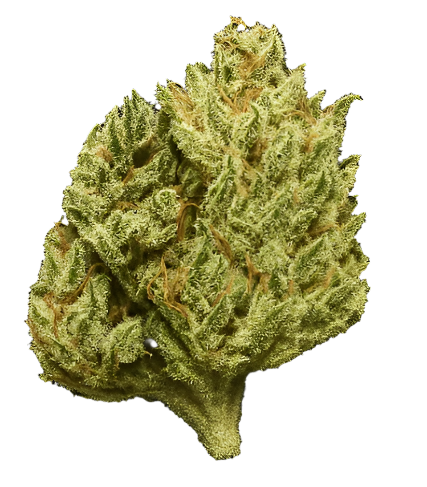 White Truffle Flower (1oz)