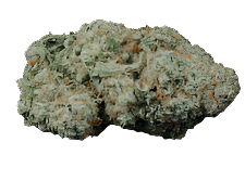 Ice Cream Runtz Flower (1oz)